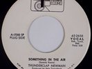 THUNDERCLAP NEWMAN: Something in the Air TRACK DJ Promo ORIG 45 NM