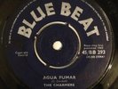PRINCE BUSTER & CHARMERS - LONG WINTER - BLUE BEAT ( RARE SKA 7 )