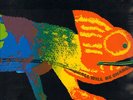 PROG-KRAUTROCK-LP- FRUMPY-ALL WILL BE CHANGED-PHILIPS-GERMANY-1970-TOPMINT