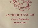 Another Sunny Day 7