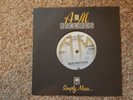 sex pistols a&m god save the queen repo clash damned punk mint