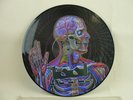 TOOL Lateralus LP PROMO Picture Disc Vinyl Puscifer Perfect Circle Limited Ed.