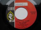 NORTHERN SOUL 45 - THE ORLONS - DON'T YOU WANT MY LOVIN' /I CANT TAKE IT VG-VG+