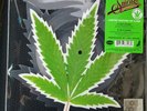 Cheech & Chong Up in Smoke 40th Anniversary Record Store Day RSD 2018 7