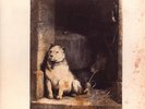 Pavlov's Dog - Pampered Menial