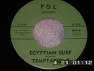 TEMPTATIONS GARAGE SURF ROCK 45 