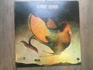 Rare Bird - S/T LP - Probe/ABC Absolute Mint Vinyl