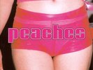 Peaches - Teaches of Peaches