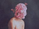Lake People - Phase Transition