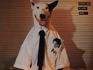 Rick Springfield Working Class Dog UK vinyl LP album record RCALP6014 RCA 1980