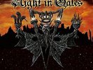 NIGHT IN GALES-THE LAST SUNSETS  VINYL LP NEW