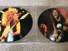 Metallica Weed Killer & Sugar 12” 2x LP Picture Disc Vinyl. *Offset Picture*