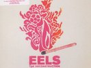 EELS THE DECONSTRUCTION PRESALE NEW ALBUM DELUXE VINYL BOX SET OUT 6th APRIL