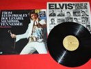 Elvis 