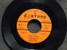 ANDRE WILLIAMS/GINO PARKS Don't Touch FORTUNE 839 listen