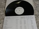 King Kong King who Promo White Label Ärzte Farian Urlaub Musterplatte DM 210523