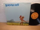 MORNING DEW Original Vintage 1970 Roulette LP Psych Garage Fuzz