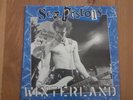 Sex Pistols Live in Winterland LP