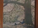 YOKO ONO & PLASTIC ONO BAND LP  Inner sleeve John Lennon Ornette Beatles Apple