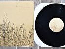 The Pine - Lead Blocks for Feet Vinyl LP Emo 2002
