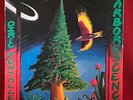 OZRIC TENTACLES Arborescence 1994 UK  vinyl LP EXCELLENT CONDITION
