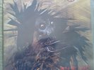 Protector - Urm the mad firstpress, orginal inner sleeve, Atom H Records 1989