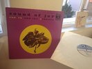 SUN RA ARKESTRA - THE SOUND OF JOY - DELMARK - US ORIGINAL - NM