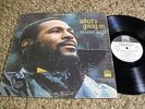 WHITE LABEL PROMO Marvin Gaye 