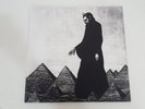 The Afghan Whigs - In Spades Vinyl LP #V51D