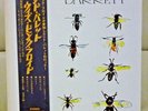Japan Odeon LP  Syd Barrett/Barrett  OP-80173  Free Shipping