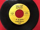 MAURICE WILLIAMS DO YOU BELIEVE/STAY45 RPM RECORD