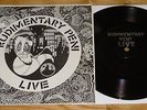 RUDIMENTARY PENI - LIVE IN 1982 - EXCELLENT CONDITION