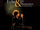Echo and the Bunnymen – It’s All Live Now [LP] Limited, numbered 180gram