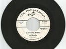 Rare Nor-Soul ABC-10783 Kittens 