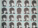 VINYL LIKE NEW  BEATLES A Hard Day's Night Russian edition 1986