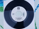 The Cranberries Zombie 45 RPM Record