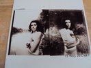 PJ HARVEY  IS THIS DESIRE LP  WITH FREE PROMO SHEET