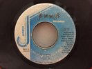 TONTO IRIE/IT A RING KING JAMMY$ DANCEHALL REGGAE TEMPO RIDDIM
