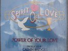 MODERN SOUL GOSPEL LP SPIRIT OF LOVE Power Of Your Love BIRTHLIGHT Shrink