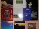 New Age, 10 Vinyl Record Lot, All LP, All US 1st, 2 Promo Ray Lynch Do'a Rivera