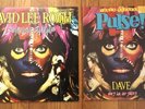 David Lee Roth-Sonrisa Salvaje vinyl (NM) w/promo stamp+Pulse magazine DLR 1986