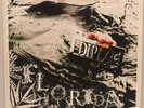 Diplo ?– Florida LP 2 x Vinyl Record Hip Hop  Electronic 2004 Big Dada UK BD069
