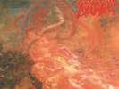 Morbid Angel - Blessed Are The Sick (Full Dynamic Range Vinyl) - LP Vinyl - New