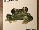 Silverchair-Frogstomp-clear 2xLP SRC Vinyl subscription series-3/250-rare,oop