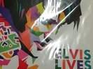 Bobby Solo-Elvis Lives  VINYL LP NEUF