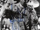 MICHAEL JACKSON 8