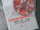 DAVID BOWIE LADY STARDUST RARE JAPAN V & A PICTURE DISC + CARRIER BAG