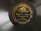 ISHAM JONES Jealousy/RAY NOBLE Seven Years With the Wrong Woman VICTOR 24388 V