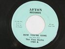 The Five Bucks 1701 & Ethics Vent 45 RPM Afton Record Vinyl