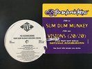 FU-SCHNICKENS - SUM DUM MUNKEY / REMIX / VISIONS (20/20) (12